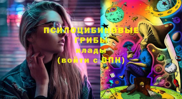 соль ск Алексеевка