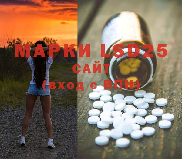 ПСИЛОЦИБИНОВЫЕ ГРИБЫ Алзамай