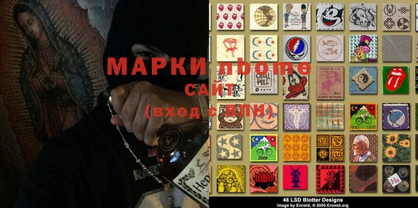 ПСИЛОЦИБИНОВЫЕ ГРИБЫ Алзамай