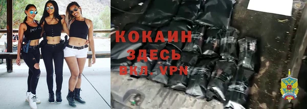 соль ск Алексеевка