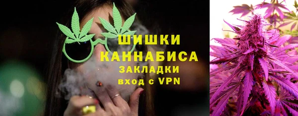 ПСИЛОЦИБИНОВЫЕ ГРИБЫ Алзамай