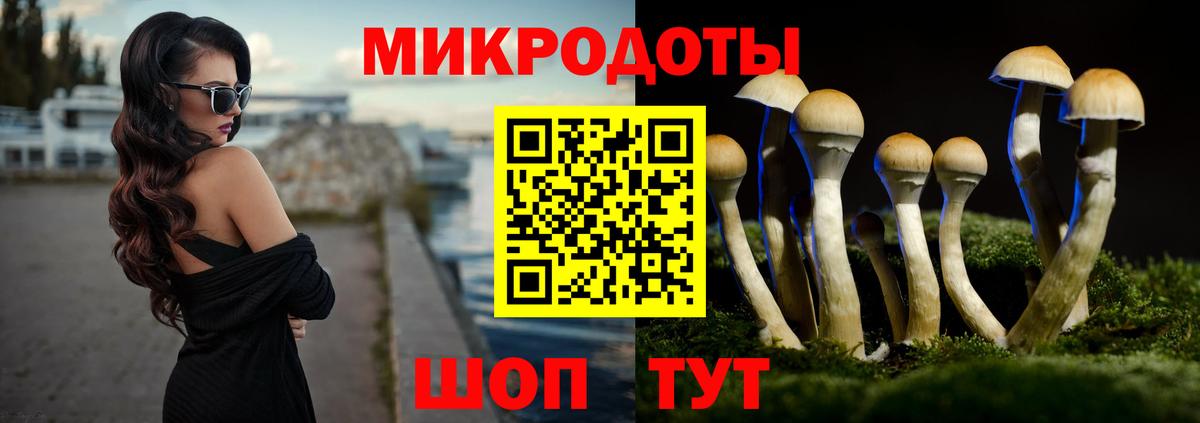 Псилоцибиновые грибы прущие грибы Дзержинский